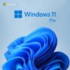 Windows 11 Pro  product key License digital instant delivery